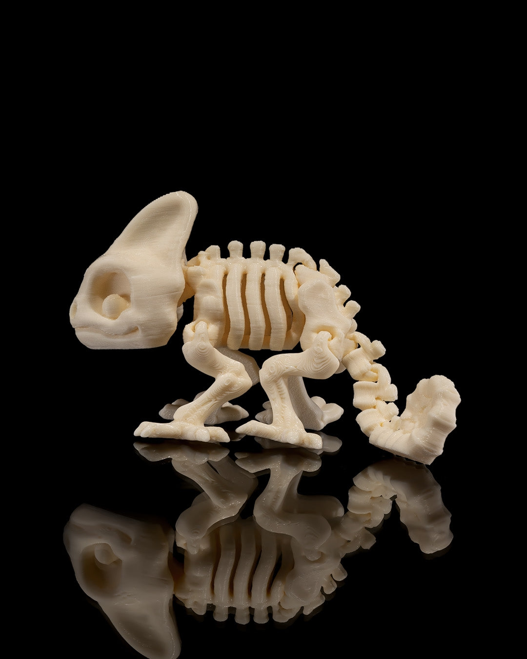 Skeleton Chameleon